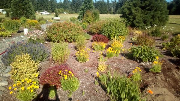 Flat Earth Flower Farm