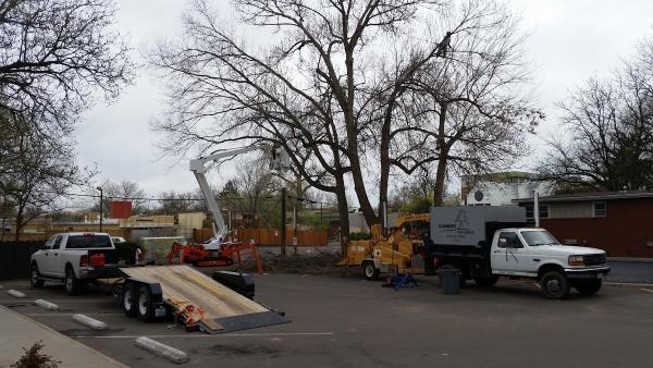 Climbers Tree Service