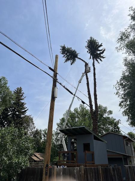 Climbers Tree Service