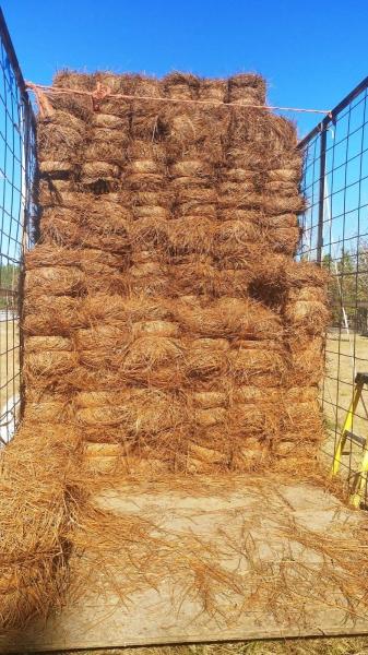 Mendieta Landscaping
