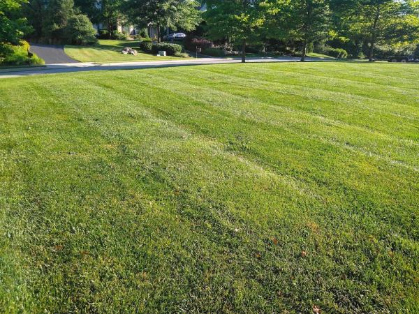 Kirk's Lawn Care