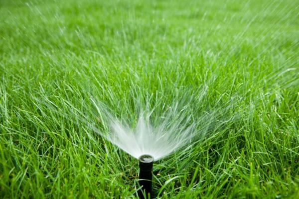 Sprinkler System Care