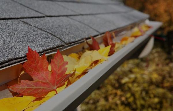 Strongsville Gutter Cleaning