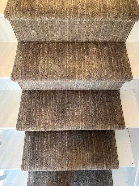 Mister C's Carpet Cleaning