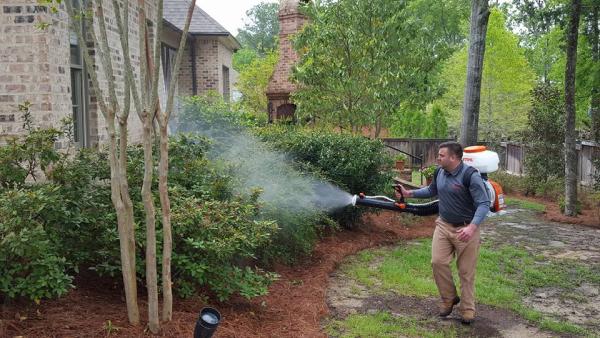 Mosquito Marshals