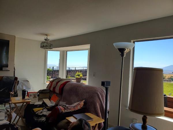 Mr Window Replacement