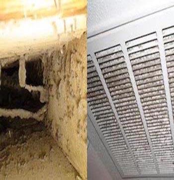 Air Vent Medics Dryer Vent Cleaning Queens