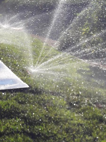 Progressive Pump and Irrigation LLC