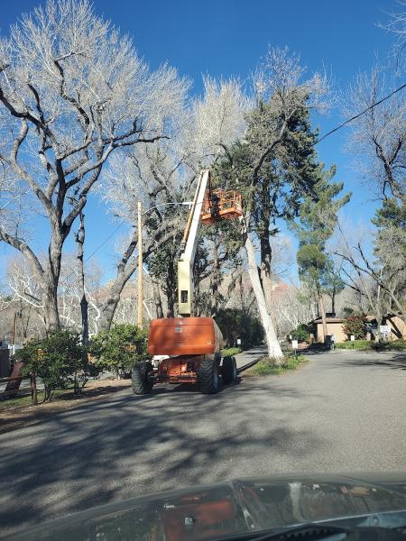 Spires Tree Service