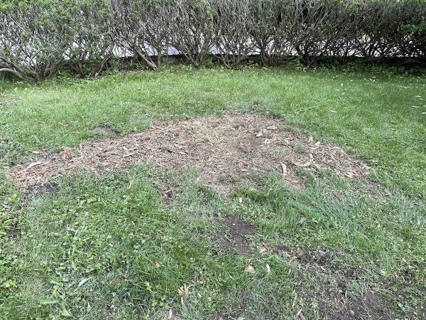 Siffrinn Stump Grinding LLC