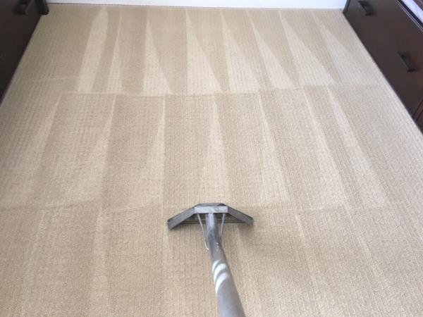 Andrew's Carpet Cleaners