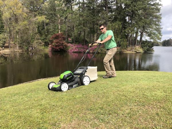 Electric Lawns