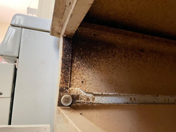 Evict Pest Management