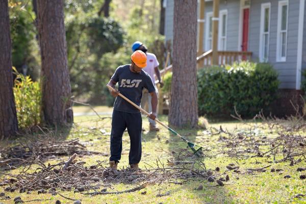 Hampton's Tree Service & Firewood