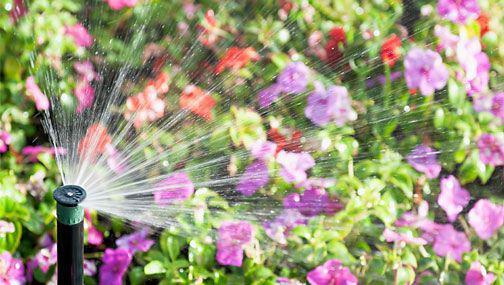 The Sprinkler Company LLC