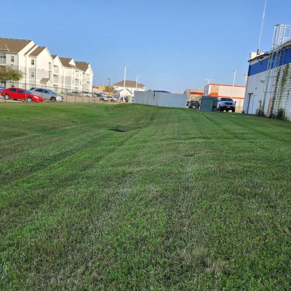 Veterlawn