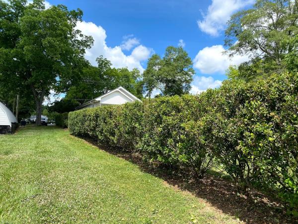 DF Lawn and Home Services
