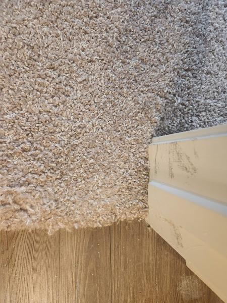 Denver Steam Cleaning Inc.