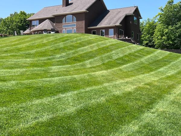 Northern Michigan Lawn Care & Landscape