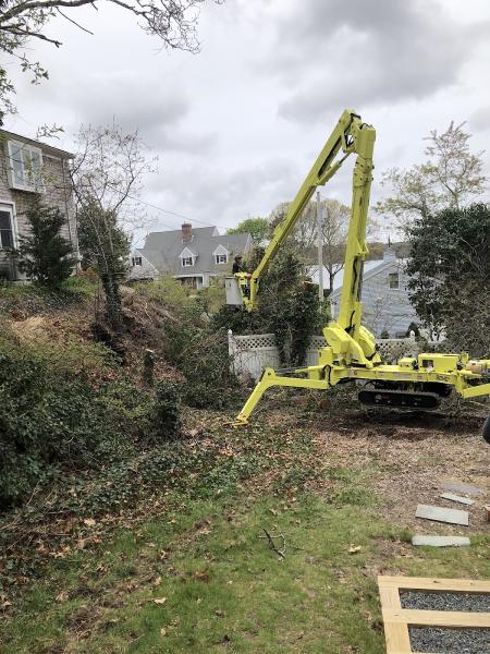 Champion Tree Work & Bobcat Services