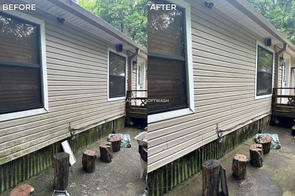 Aurora Softwash & Pressure Washing