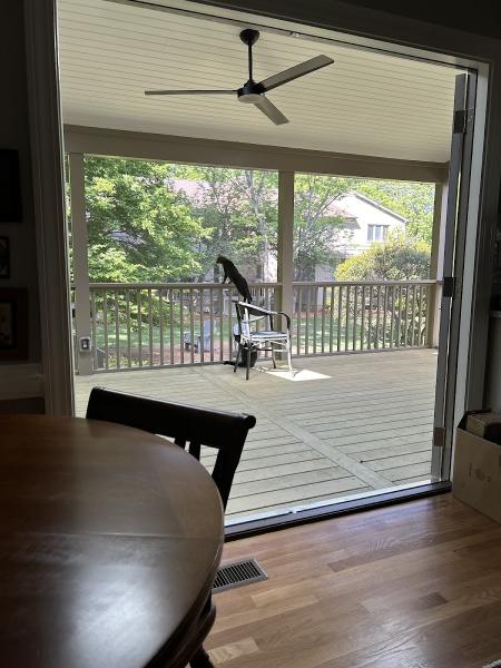 Remodel Greensboro