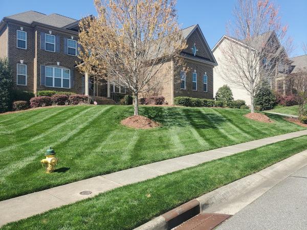 Pretty Grass