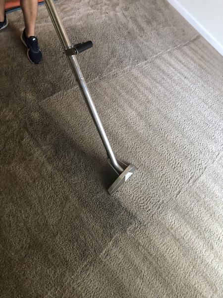 Stēmco Carpet Cleaning