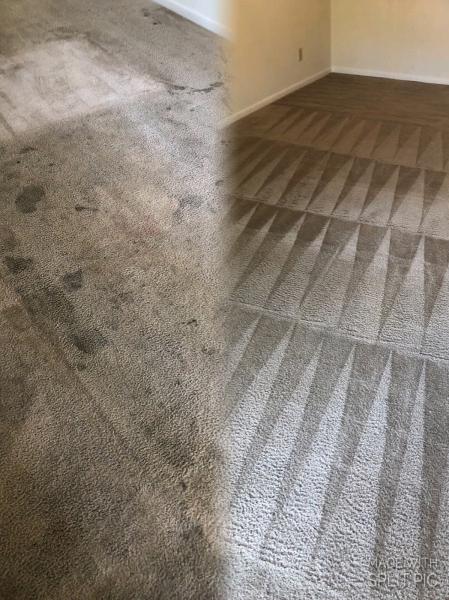 Stēmco Carpet Cleaning