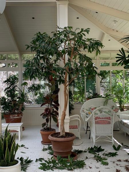 Plants Unlimited