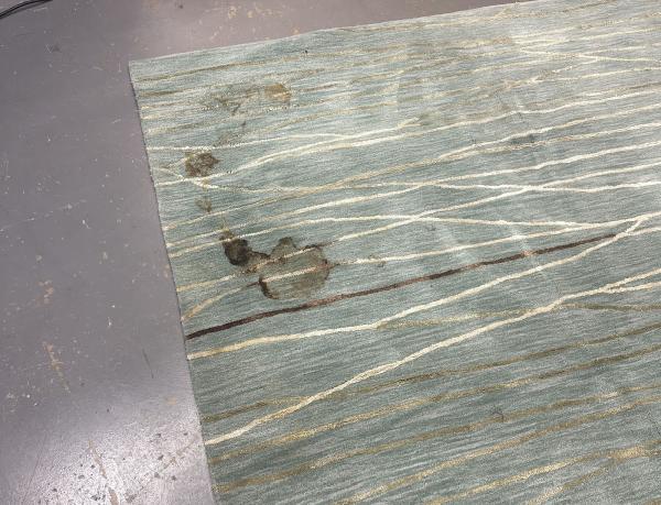 Naples Rug Spa