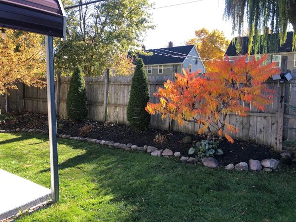 Red Rose Landscaping LLC