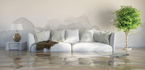 Bill's Cleaning & Flood Restoration Service