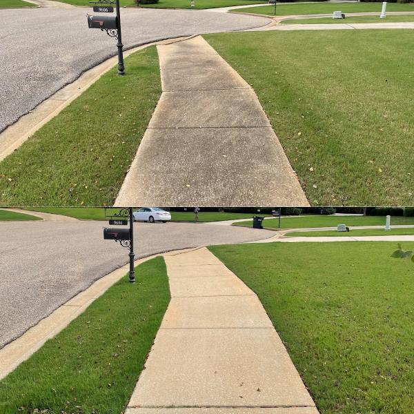 Capital Dreams Pressure Washing