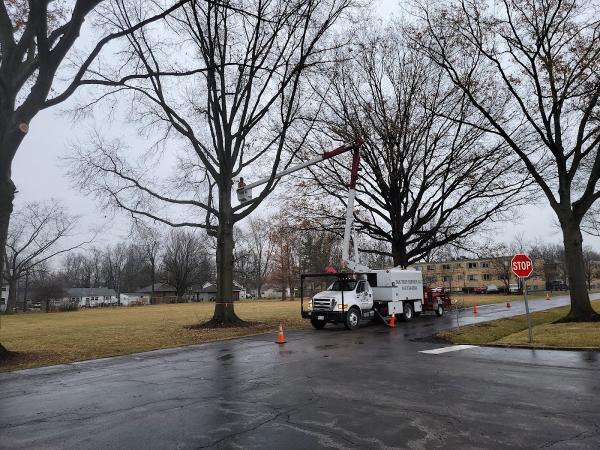 T&K Tree Service