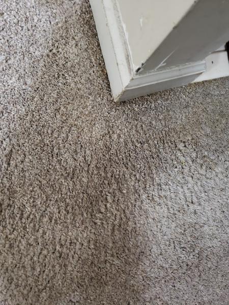 Trinity Carpet Cleaning