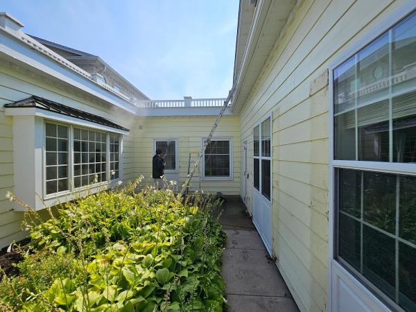 Essex Painting Services
