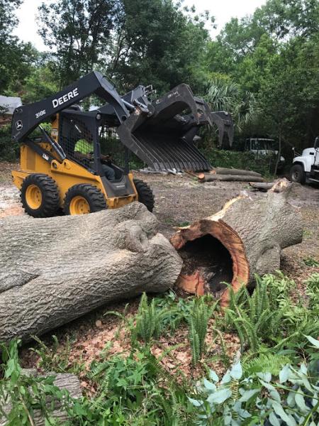 Allwood Tree Service