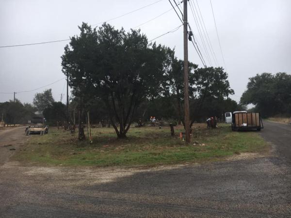 Orland Park Tree Removal