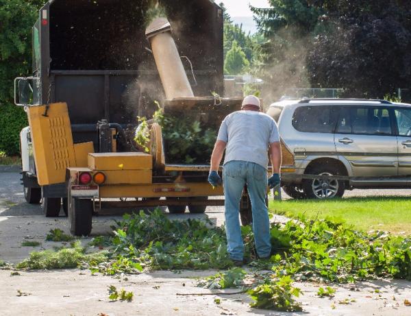 Orland Park Tree Removal