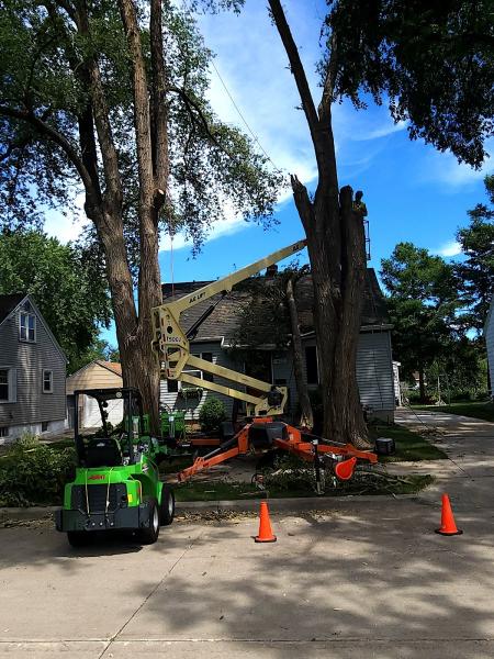 Arboristically Speaking Tree Service