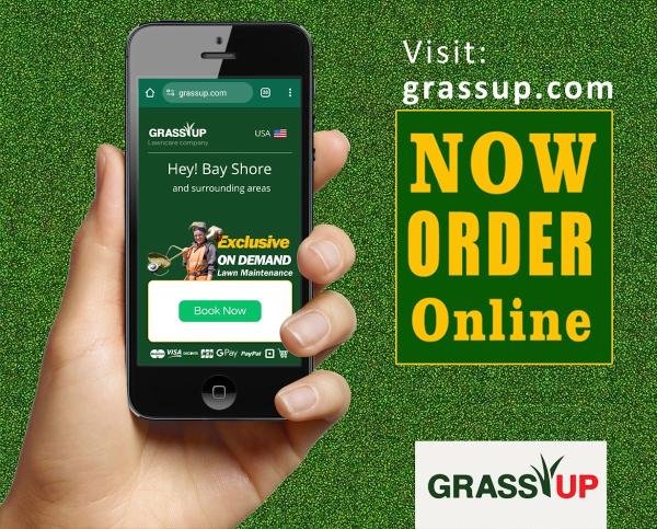 Grass UP