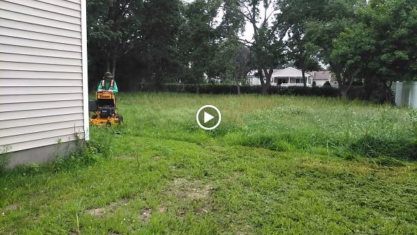 Grass UP