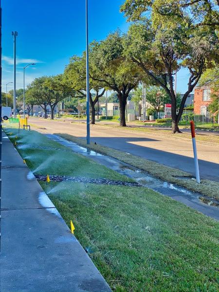 Primavera Landscaping