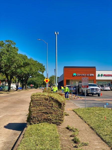Primavera Landscaping