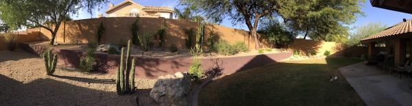 Cesar Mazier Landscaping & Consulting