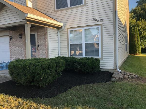 Lines Landscaping LLC