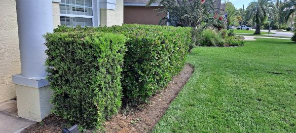 True Cut Lawn Care Inc