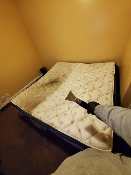 Hutchpro Carpet Cleaning Plus