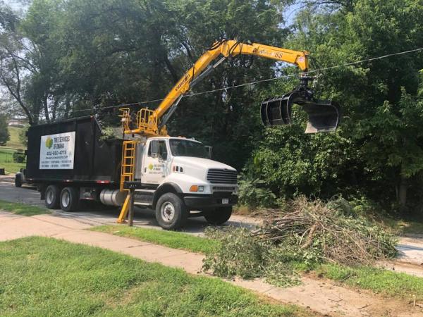 Tree Services